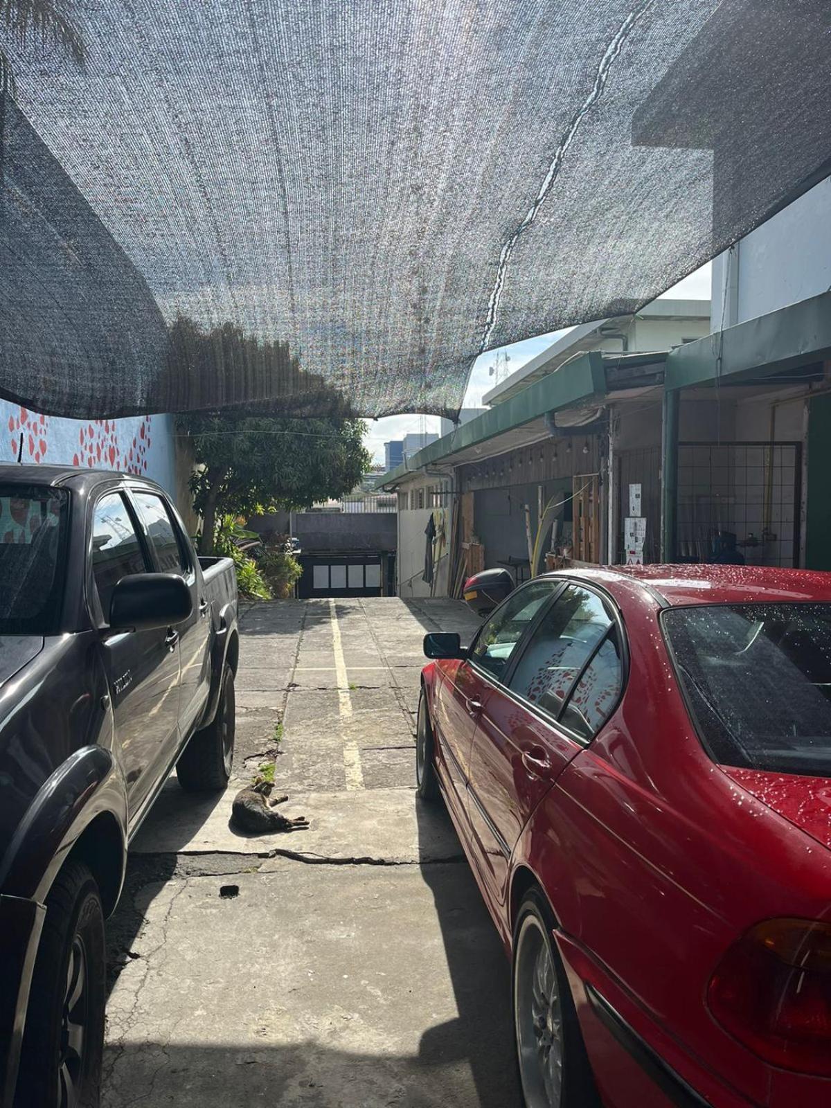 Lost In San Jose Hotel & Hostel Exterior photo